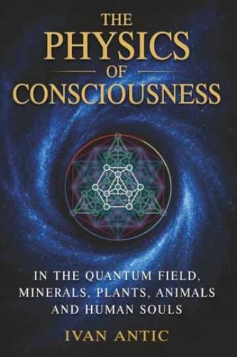 The physics consciousness - physics,