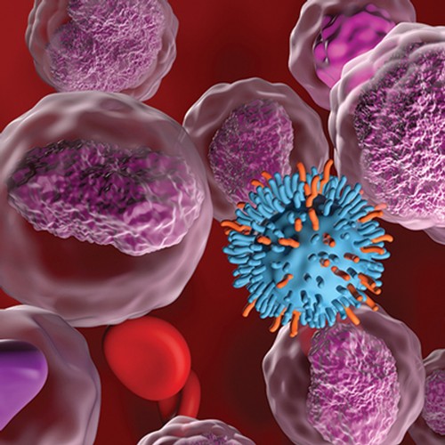 Oakstone hematology oncology - oakstone,